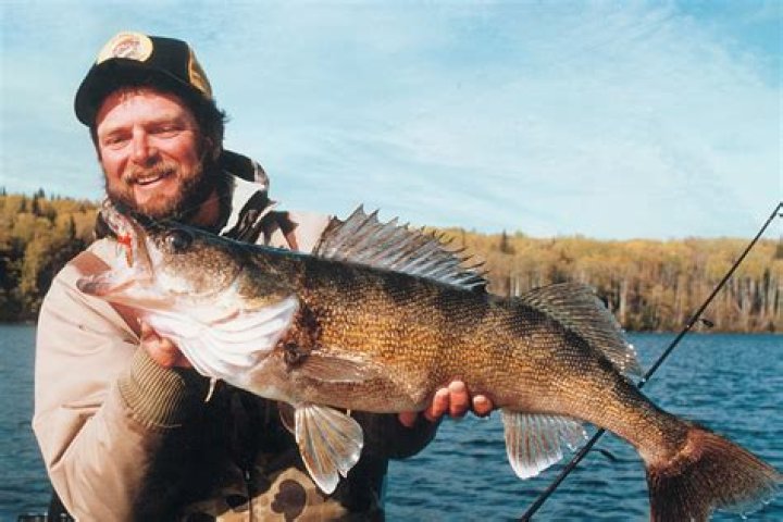 Al Lindner biografía, edad, altura, esposo, net worth, familia