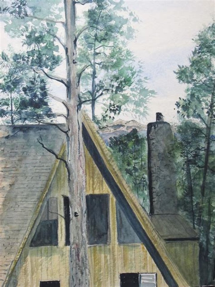 Ann Wyeth McCoy Biography, Age, Height, Wife, Net Worth and Family