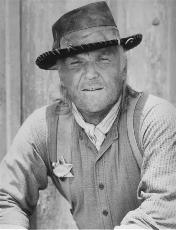 Anthony Zerbe Biography, Age, Height, Wife, Net Worth, Family