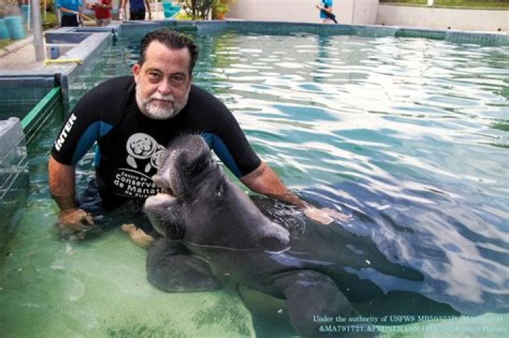 Antonio Mignucci Biography, Age, Height, Wife, Net Worth, Family