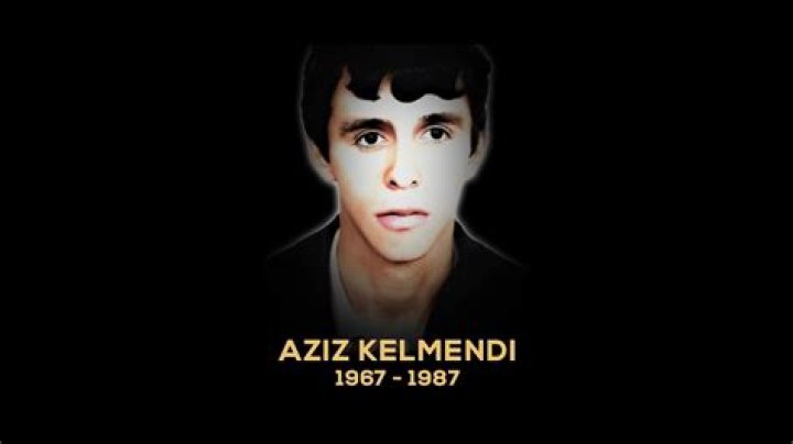 Aziz Kelmendi Biography, Age, Height, Wife, Net Worth, Family