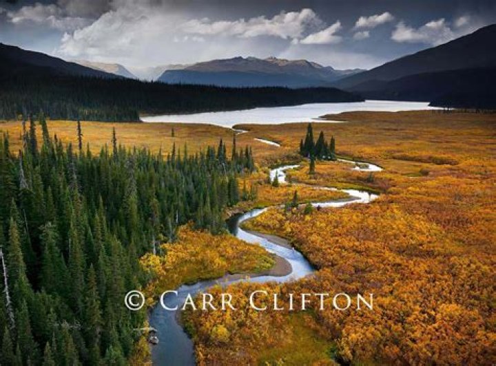 Carr Clifton Biography, Age, Height, Wife, Net Worth, Family