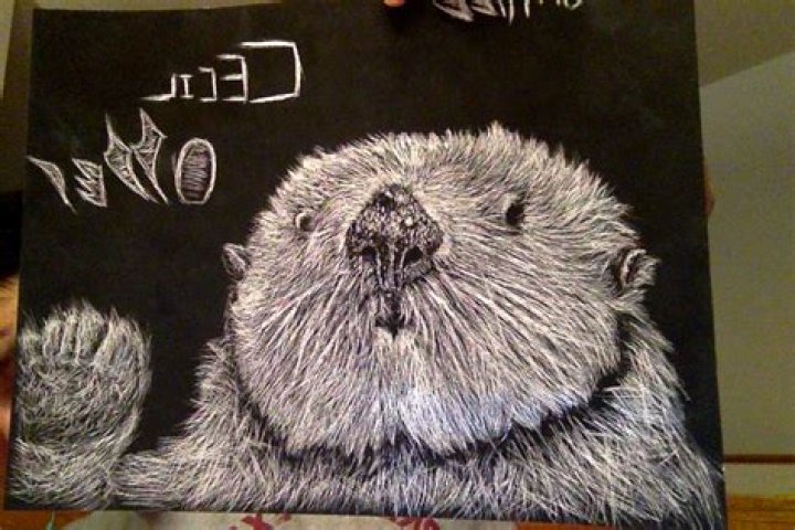 Cecil Otter Biography, Age, Height, Wife, Net Worth, Family