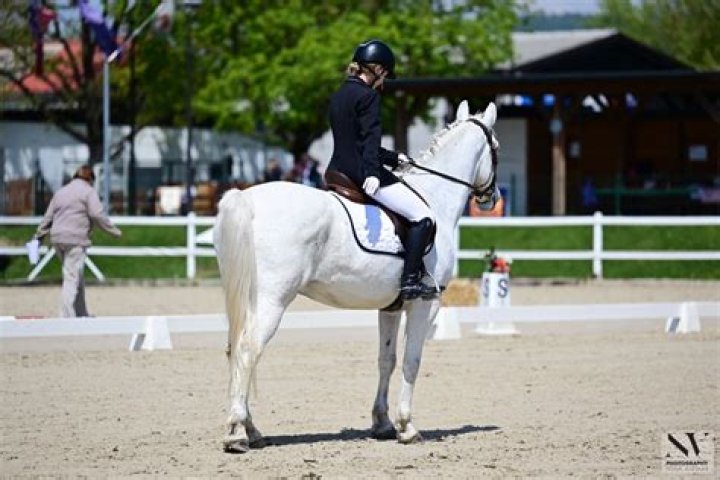 David Marcus Biography, Age, Height, Wife, Net Worth, Family