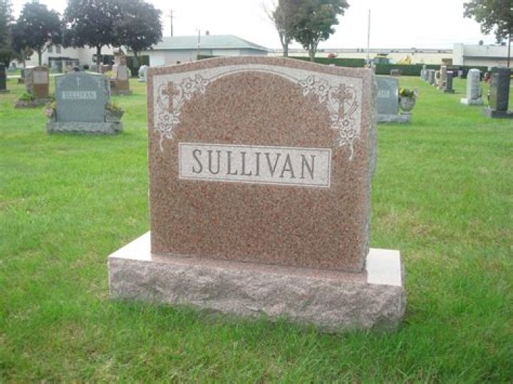 Ed Sullivan Jr. Biography, Age, Height, Wife, Net Worth, Family