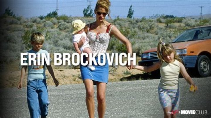 Erin Brockovich Biography, Age, Height, Husband, Net Worth, Family