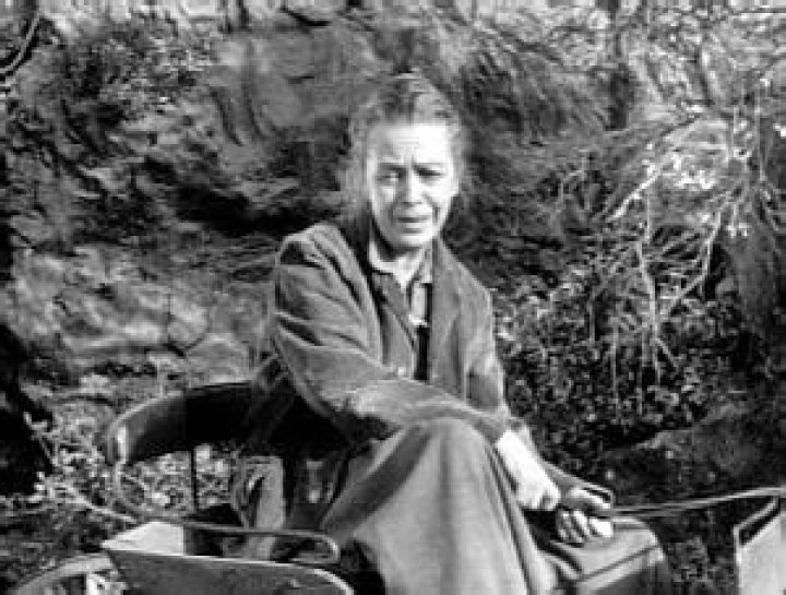 Fern Barry Biography, Age, Height, Husband, Net Worth, Family