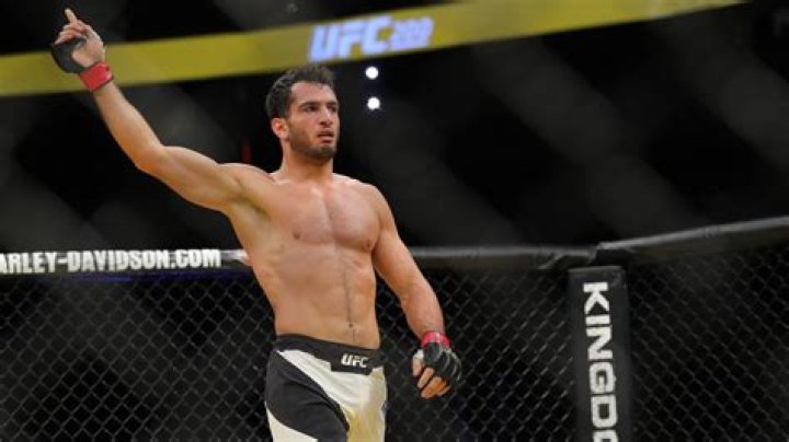 Gegard Mousasi Biography, Age, Height, Wife, Net Worth, Family