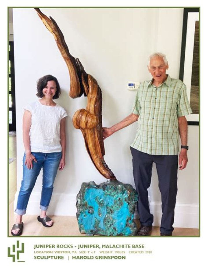 Harold Grinspoon Biography, Age, Height, Wife, Net Worth and Family