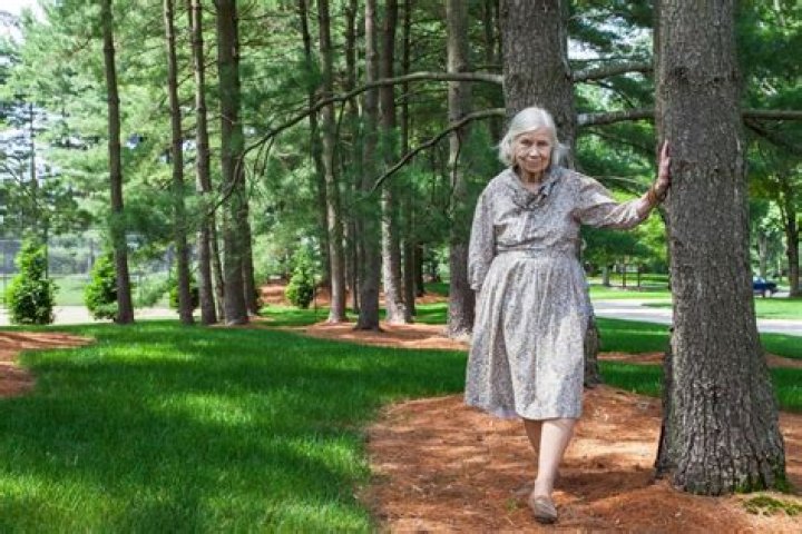 Harriet Pattison Biography, Age, Height, Wife, Net Worth and Family