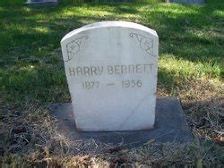 Harry Bennett Biography, Age, Height, Wife, Net Worth, Family