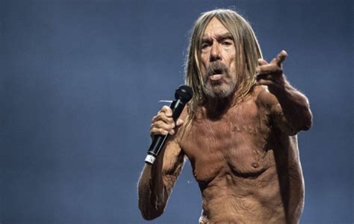 Iggy Pop Biography, Age, Height, Wife, Net Worth, Family
