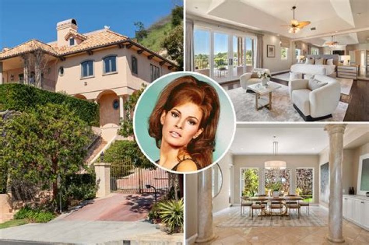 Ivan Kaufman Biography, Age, Height, Wife, Net Worth, Family