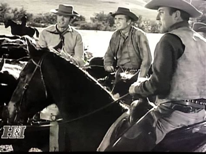 Jacque Shelton Biography, Age, Height, Wife, Net Worth, Family