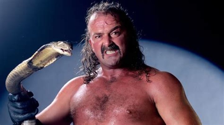 Jake Roberts biografía, edad, altura, esposo, net worth, familia