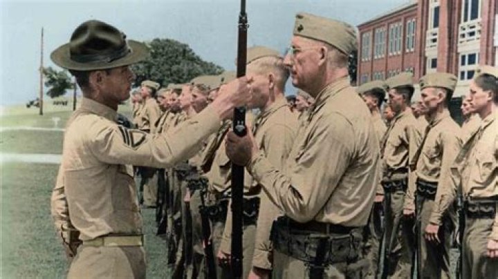 Jeffrey Storey Biography, Age, Height, Wife, Net Worth, Family