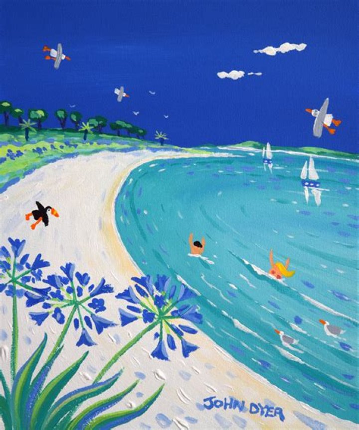 John Dyer Biography, Age, Height, Wife, Net Worth, Family