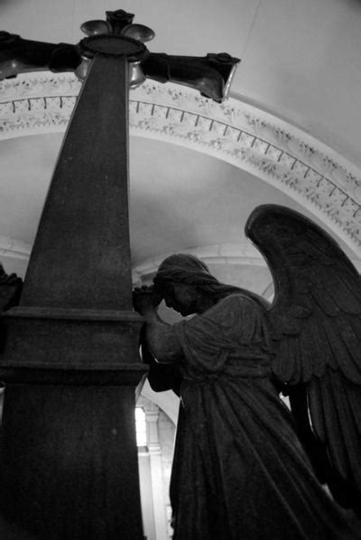 John Furie Biography, Age, Height, Wife, Net Worth and Family