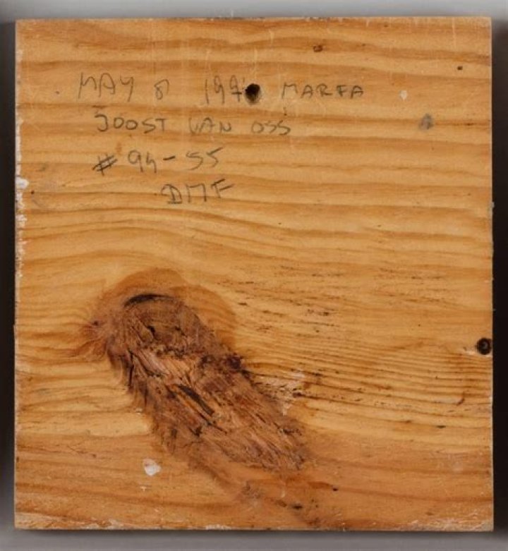 Joost van Oss Biography, Age, Height, Wife, Net Worth, Family