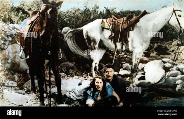 Kathleen Gallant Biography, Age, Height, Husband, Net Worth, Family