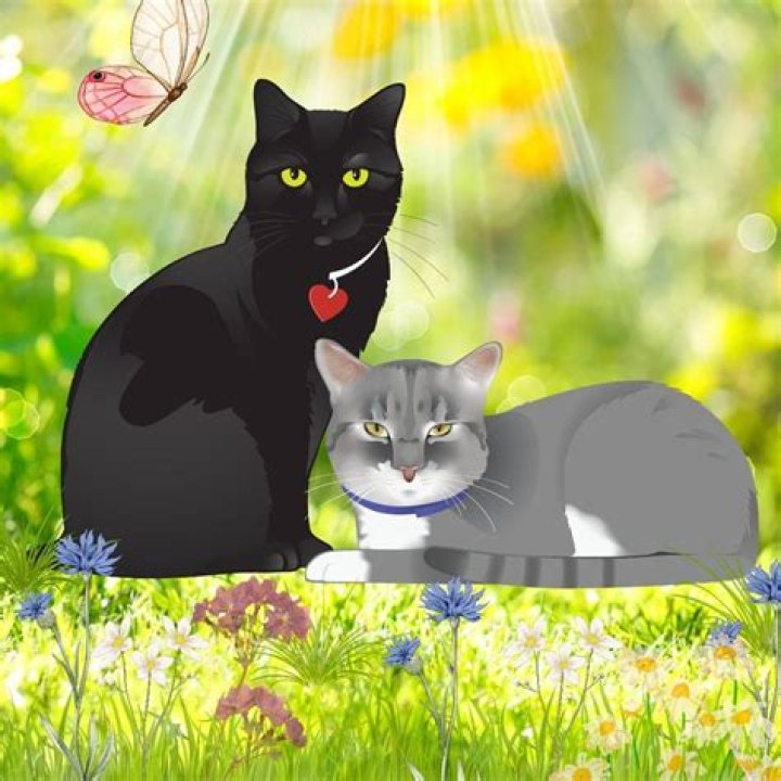 Kathy Mueller Biography, Age, Height, Husband, Net Worth, Family