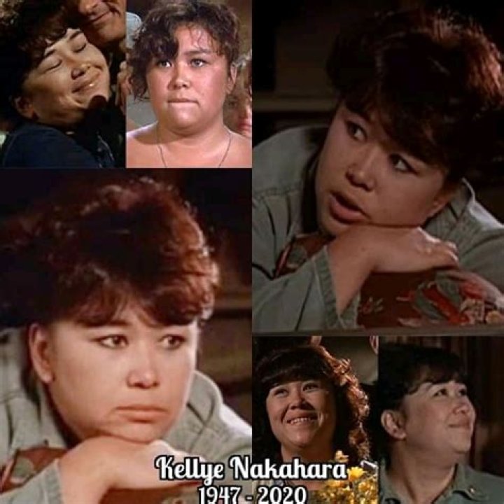 Kellye Nakahara Biography, Age, Height, Husband, Net Worth, Family