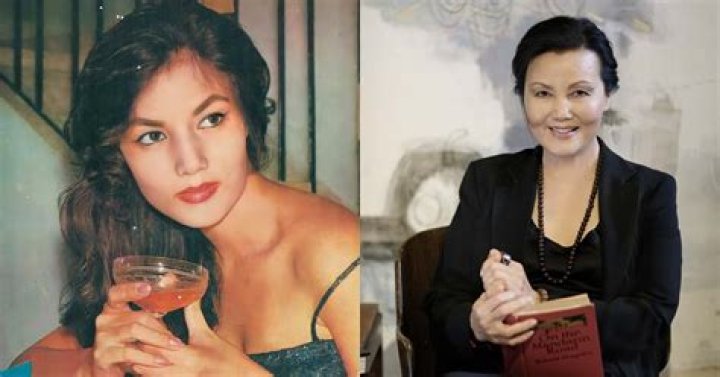 Kieu Chinh Biography, Age, Height, Husband, Net Worth, Family