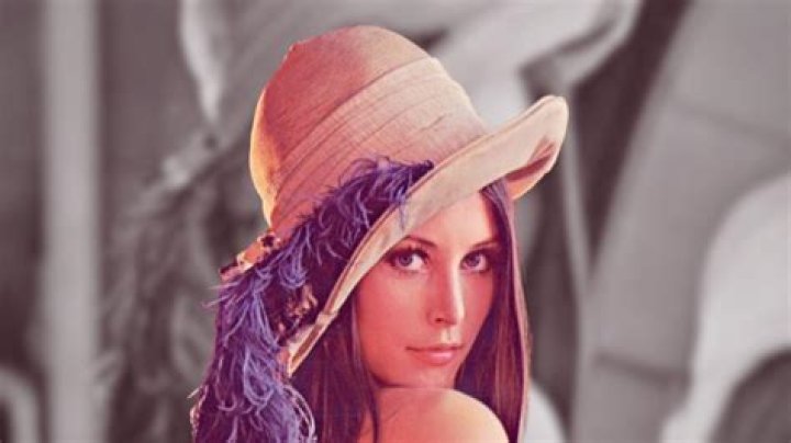 Lena Forsén Biography, Age, Height, Wife, Net Worth and Family