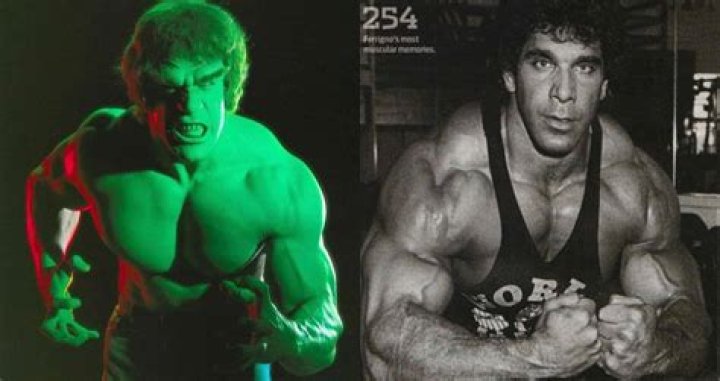 Lou Ferrigno Biography, Age, Height, Wife, Net Worth, Family