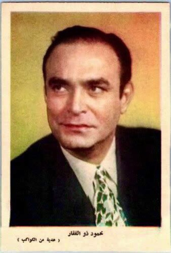 Mahmoud Zulfikar Biography, Age, Height, Wife, Net Worth and Family