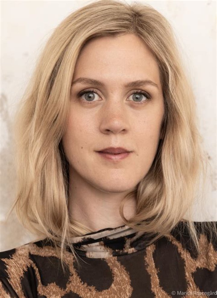 Malin Persson Biography, Age, Height, Husband, Net Worth, Family