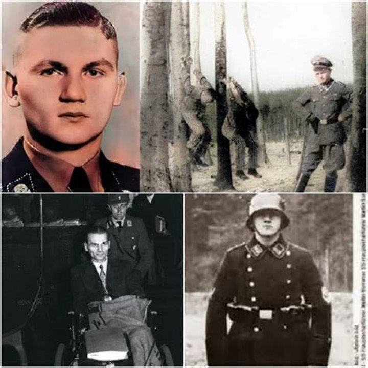 Martin Sommer Biography, Age, Height, Wife, Net Worth and Family