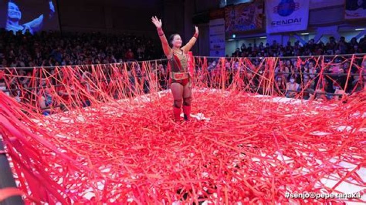 Meiko Satomura Biography, Age, Height, Husband, Net Worth, Family