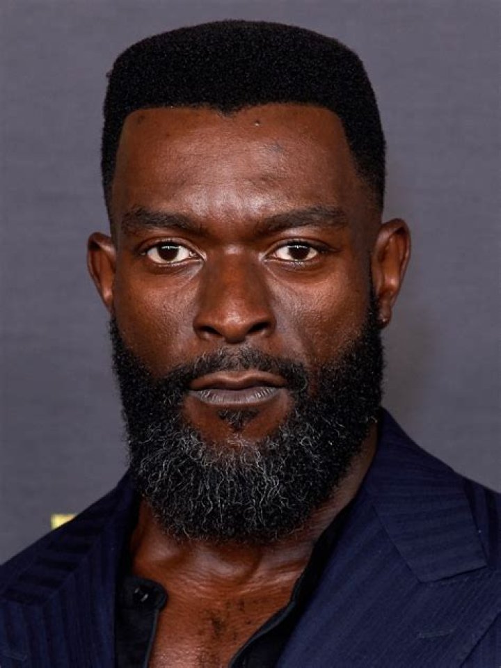 Michael James Shaw Biography, Age, Height, Wife, Net Worth, Family