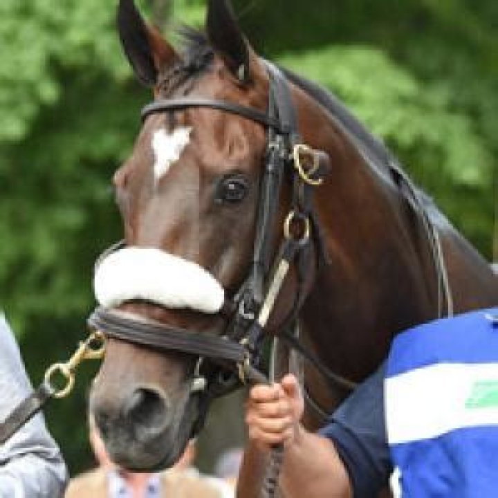 Michael R. Matz Biography, Age, Height, Wife, Net Worth, Family