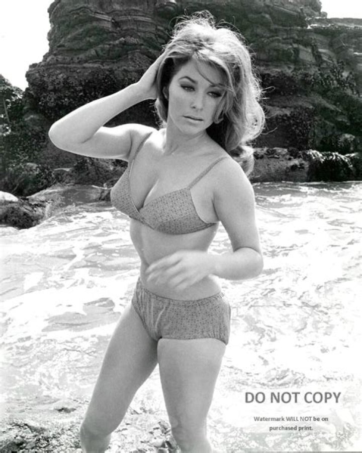 Michele Carey Biography, Age, Height, Husband, Net Worth, Family