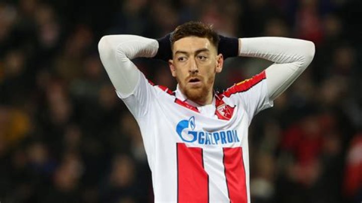 Milan Pavkov Biography, Age, Height, Wife, Net Worth, Family