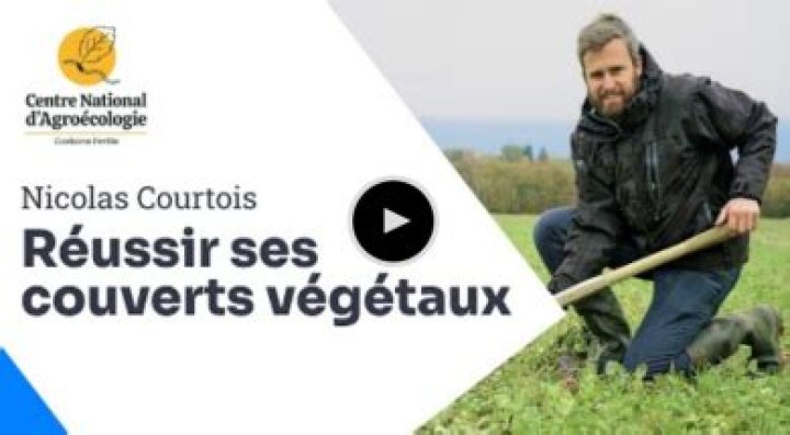 Nicolas Courtois Biography, Age, Height, Wife, Net Worth, Family