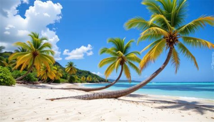 Palmy Biography, Age, Height, Husband, Net Worth, Family