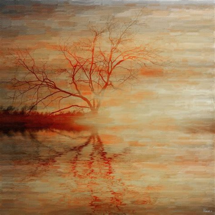 Parvez Taj Biography, Age, Height, Wife, Net Worth, Family