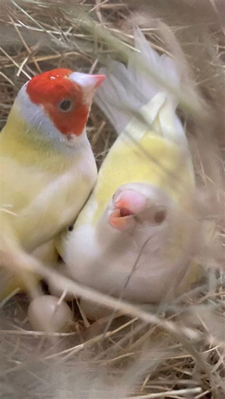 Pat Finch Biography, Age, Height, Husband, Net Worth, Family