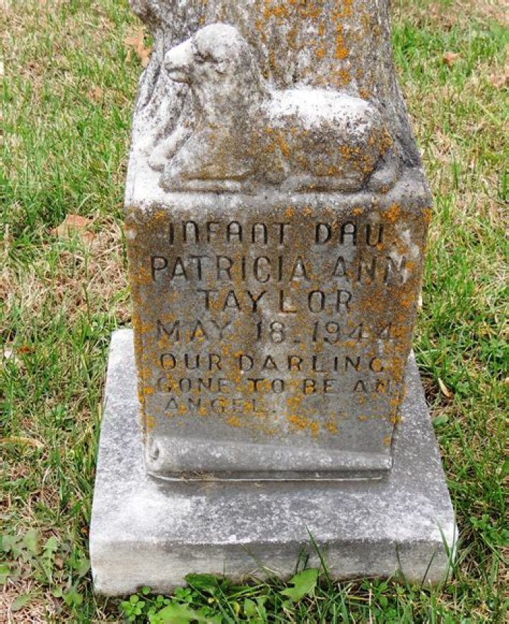 Patricia Ann Taylor Biography, Age, Height, Husband, Net Worth, Family