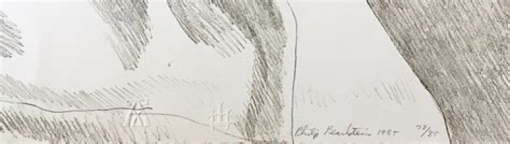 Philip Pearlstein Biography, Age, Height, Wife, Net Worth, Family