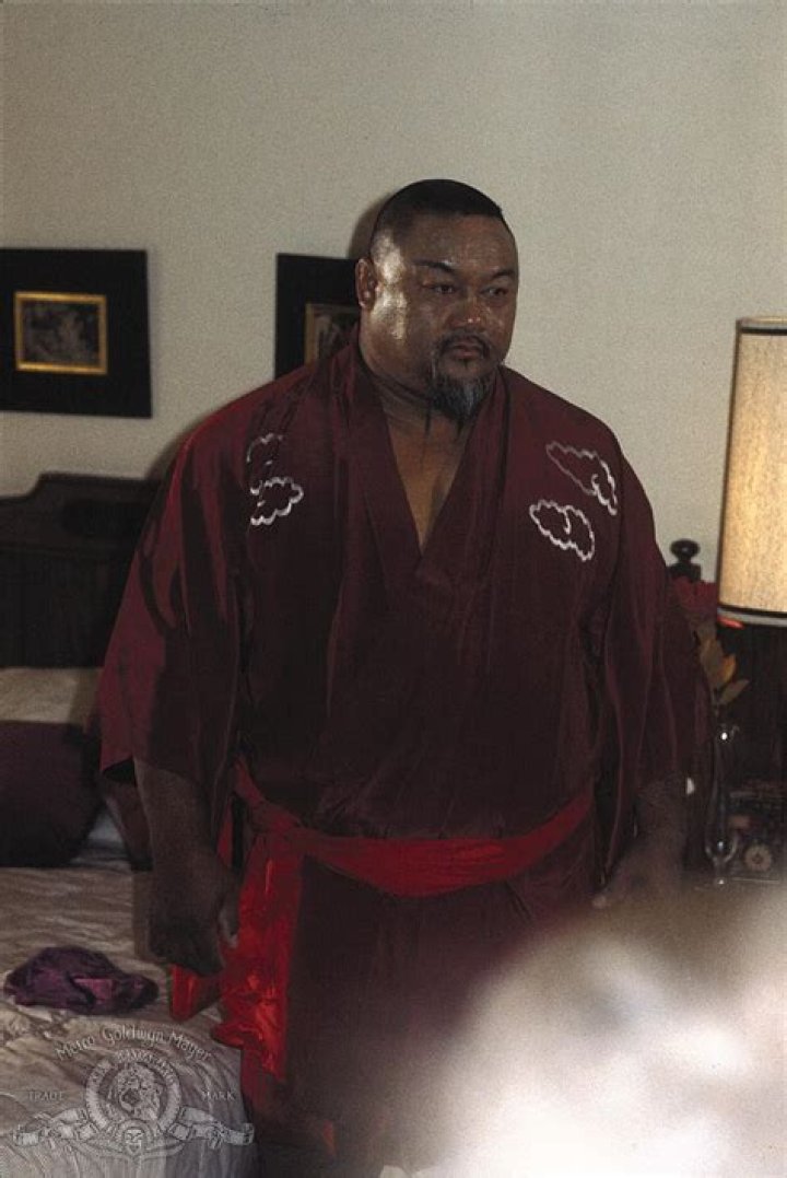 Professor Toru Tanaka Biography, Age, Height, Wife, Net Worth, Family