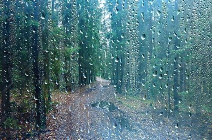 Rain Biography, Age, Height, Wife, Net Worth, Family