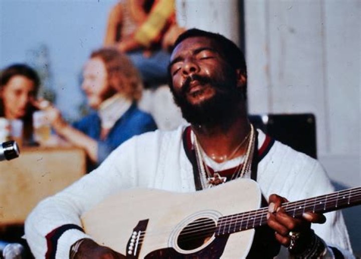 Richie Havens biografía, edad, altura, esposo, net worth, familia