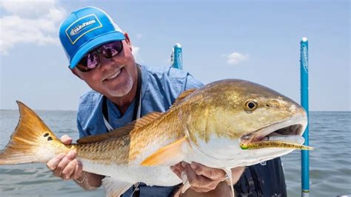 Rick Murphy Biography, Age, Height, Wife, Net Worth, Family