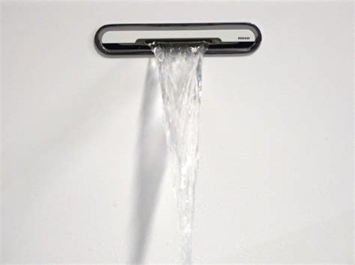 Riho Biography, Age, Height, Husband, Net Worth, Family