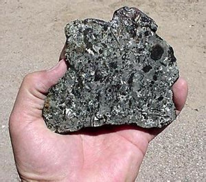 Robert A. Haag Biography, Age, Height, Wife, Net Worth, Family