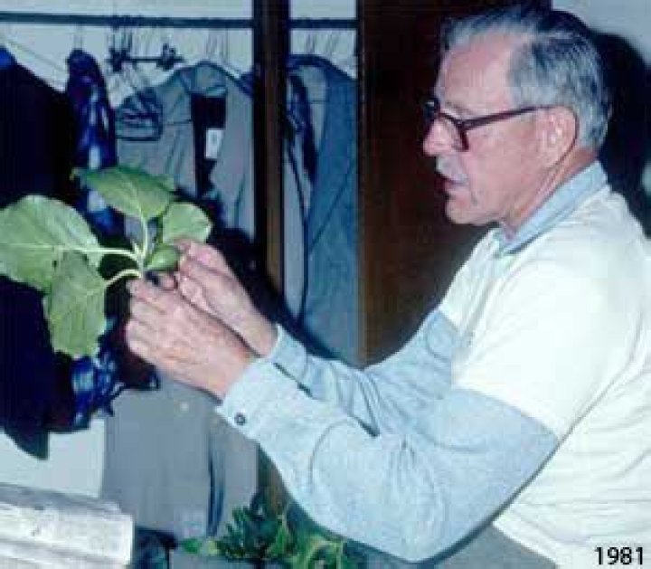 Robert Folger Thorne Biography, Age, Height, Wife, Net Worth and Family